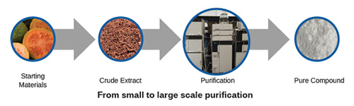 From small to large scale purification: Starting Materials > Crude Extract > Purification > Pure Compound
