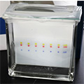 SiliaPlate TLC (Thin Layer Chromatography) plates for doping agents detection