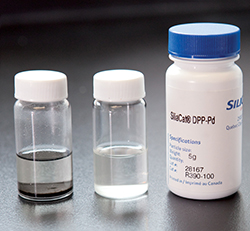 SiliCycle SiliaCat DPP-Pd heterogeneous catalyst