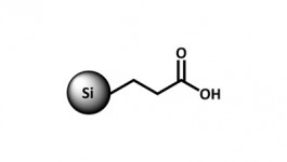 SiliaBond Carboxylic Acid (WCX) (R70030B)