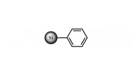 SiliaBond Phenyl (PHE) (R34030B)