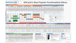 Poster - SiliCycle's Most Popular Functionalized Silicas