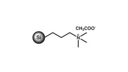 SiliaBond TMA Acetate (SAX-2) nec (R66430B)