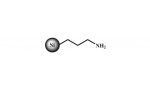 SiliaBond Amine (WAX) nec (R52130B)
