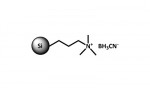 SiliaBond Cyanoborohydride (CBH) (R66730B)