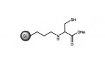 SiliaMetS Cysteine (CYS) (R80530B)