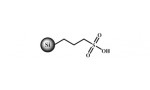 SiliaBond Propylsulfonic Acid (SCX-2) (R51230B)