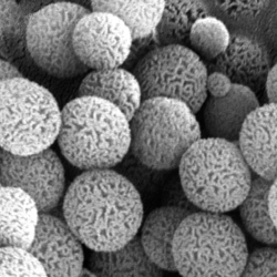 Mesoporous Silica - SiliCycle material science services