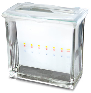 Thin Layer Chromatography Plates: Use and Best Practices