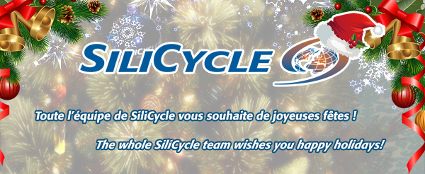 Hugo St-Laurent et toute l'équipe de SiliCycle vous souhaitent de bonnes fêtes! // Hugo St-Laurent and the whole SiliCycle team wish you Happy Holidays!